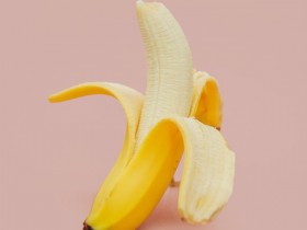杰克罗素梗可以吃香蕉吗？