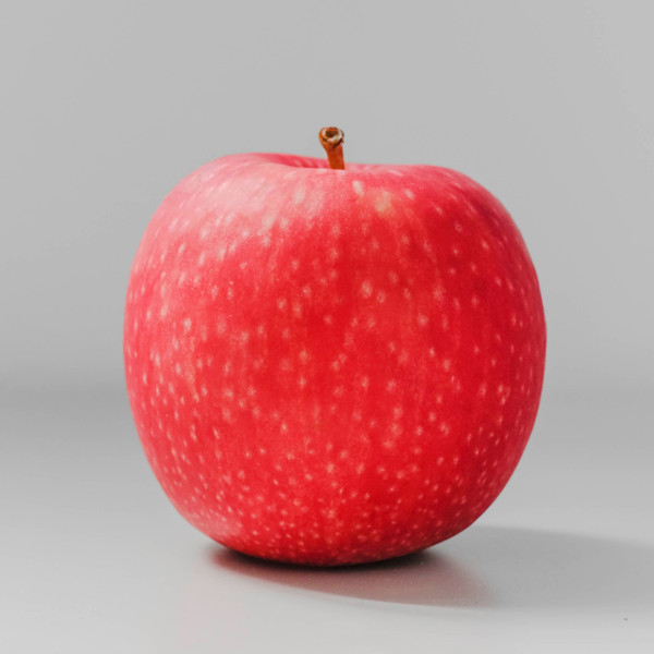 杰克罗素梗可以吃苹果吗？