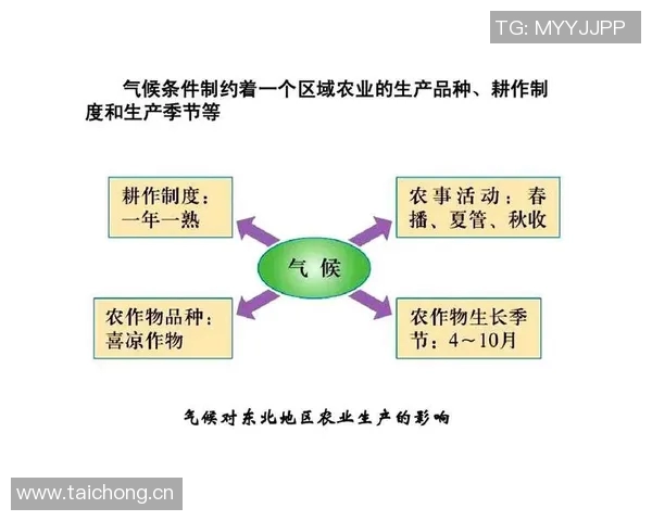最新研究揭示气候变化对全球农业生产的深远影响及应对策略 最新研究揭示气候变化对全球农业生产的深远影响及应对策略