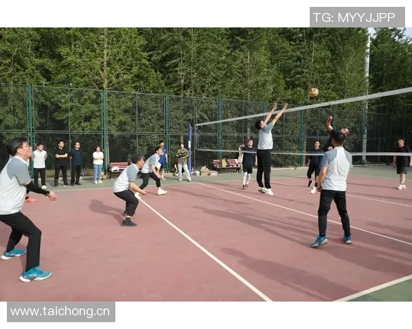 广州排球队灵活性变革引发热议展现新风貌与发展潜力 广州排球队灵活性变革引发热议展现新风貌与发展潜力